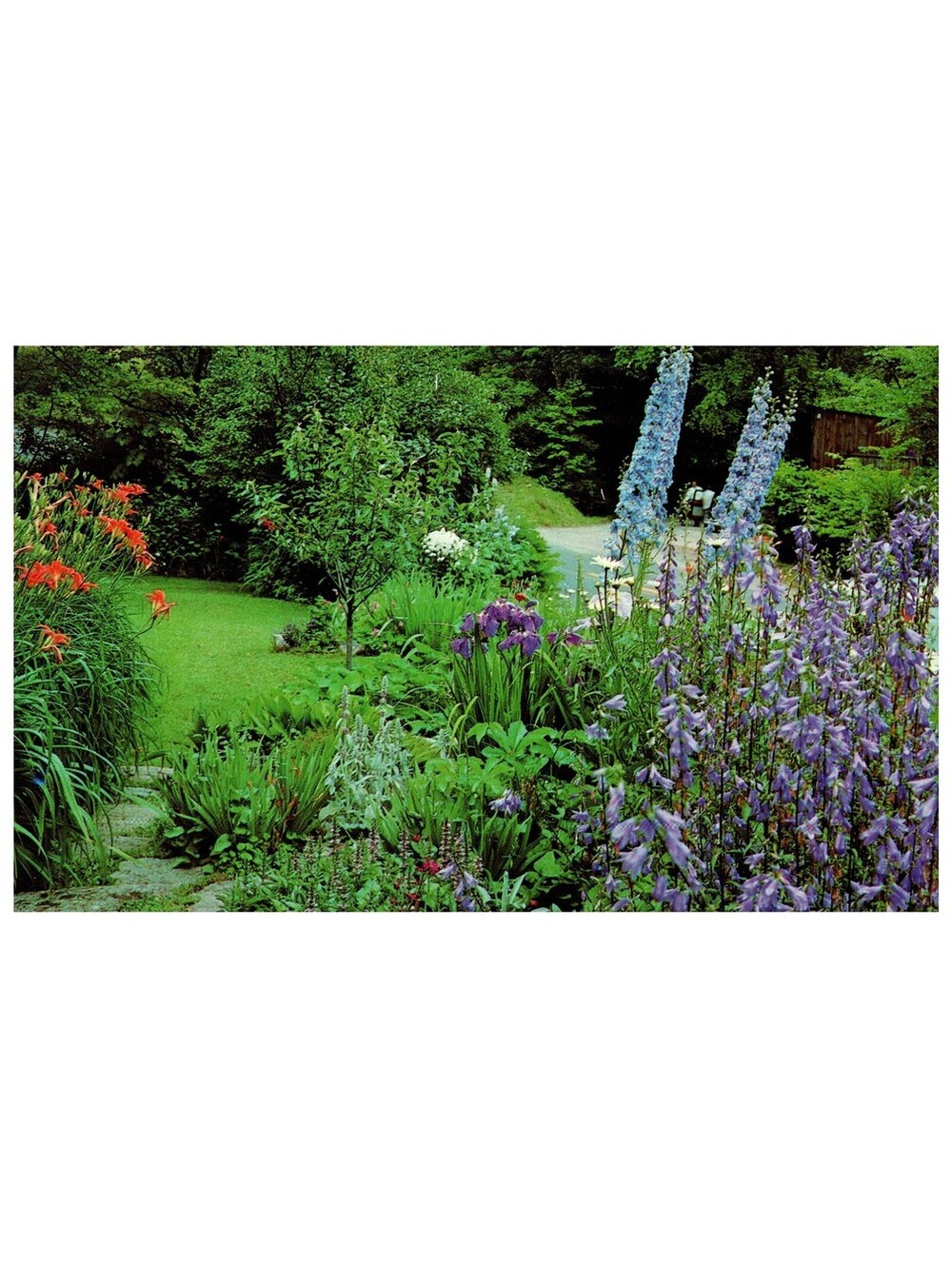 Vintage Postcard New England 1960s A Cottage Garden Flower Path Scene Old Stock
